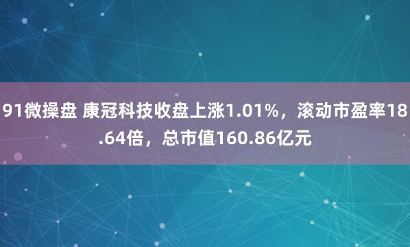91微操盘 康冠科技收盘上涨1.01%，滚动市盈率18.64倍，总市值160.86亿元
