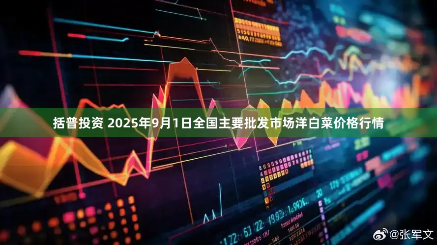 括普投资 2025年9月1日全国主要批发市场洋白菜价格行情