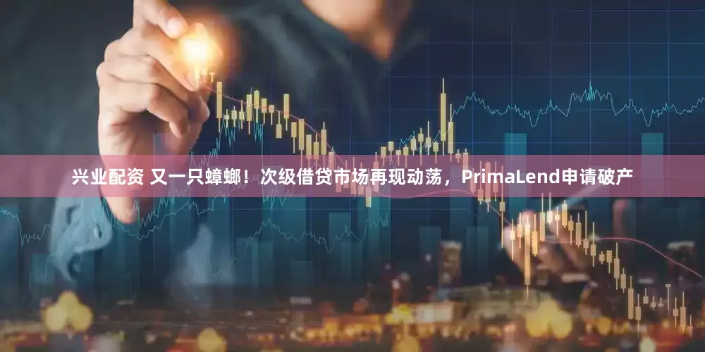 兴业配资 又一只蟑螂！次级借贷市场再现动荡，PrimaLend申请破产