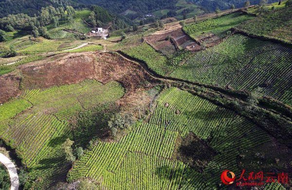 配亿多配资 深山珍宝出山记