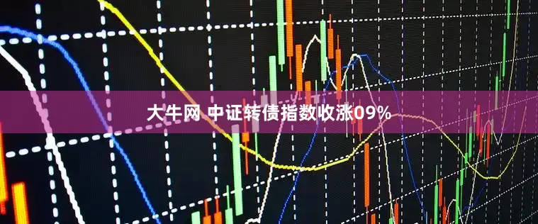 大牛网 中证转债指数收涨09%